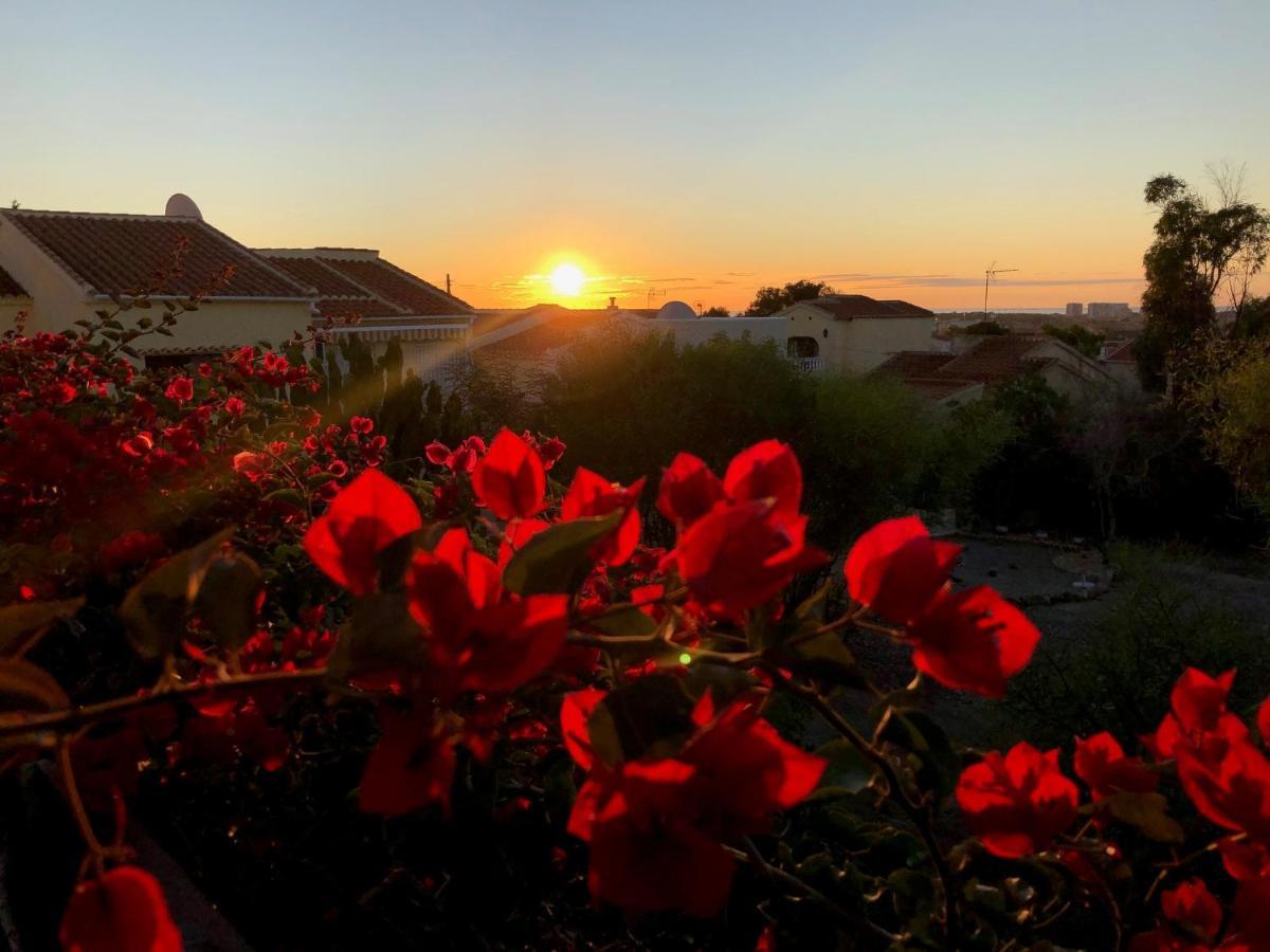 Sonniges Apartment An Der Costa Blanca San Fulgencio 외부 사진